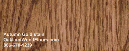 Autumn Gold wood floor stain color